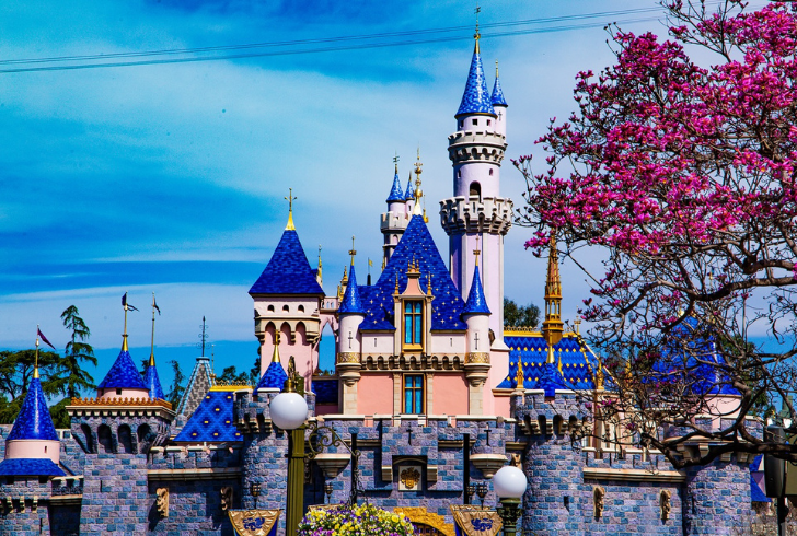 how much money does disneyland make a day