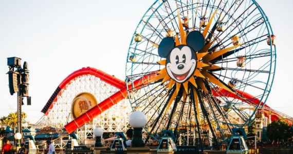 how much money does disneyland make a day